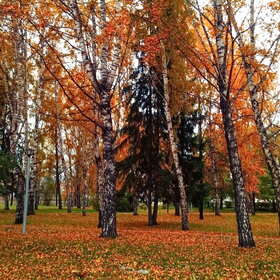 Лучшие фото. Природа (0)