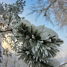 ����. ������. �������