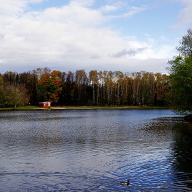 Шибаевский пруд