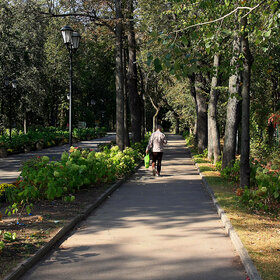 ����. ���������. ��������� ���