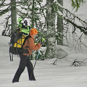 ������ ����. ���������� �� �����������