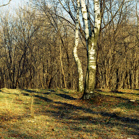 ����. ������. ��� � ������