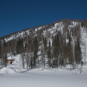 ������ ����. ���������� �� �����������