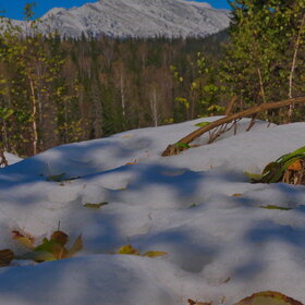 ������ ����. ���������� �� �����������