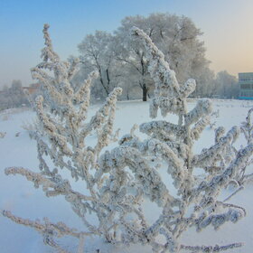 ����. ������. �������