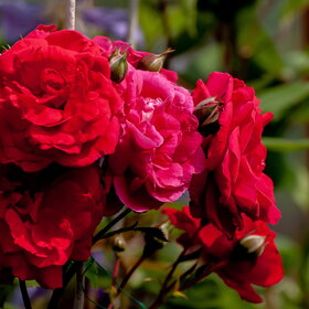 �������