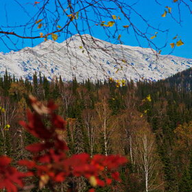 ����� ����. ���������� �� �����������