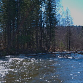 ������ ����. �������