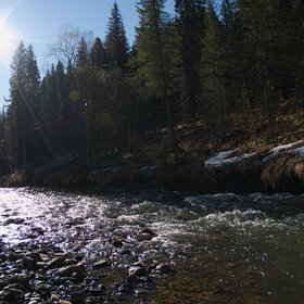 ������ ����. �������