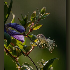 Новые фотографии. Природа