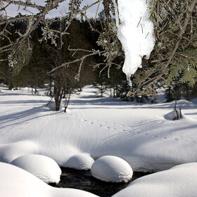 ������ ����. ���������� �� �����������