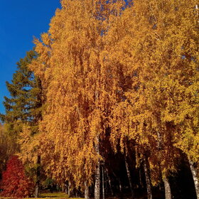 Лучшие фото. ПРИРОДА (0)