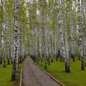 ����. ������. �������