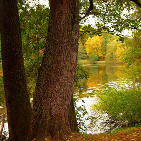 ����. �����. ������ ����������� ����