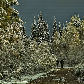 ���� �� �����������