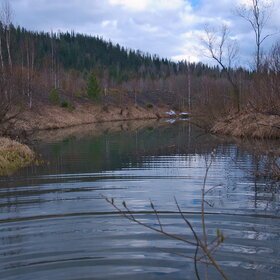 ������ ����. �������