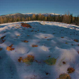 ������ ����. ���������� �� �����������