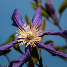 ����. ������. �������