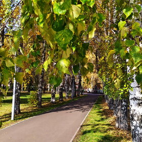 Новые фотографии. ПРИРОДА