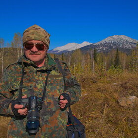 ������ ����. ���������� �� �����������