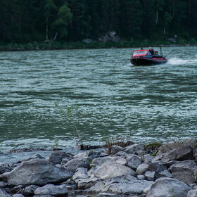 ������ ����. ���������� �� �����������