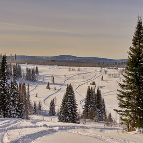 ����� ����. ���������� �� �����������