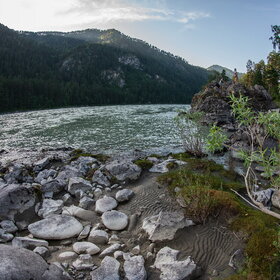 ������ ����. ���������� �� �����������