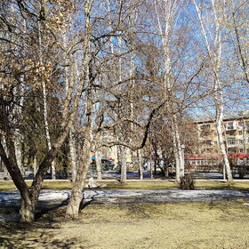 ������ ����. �������