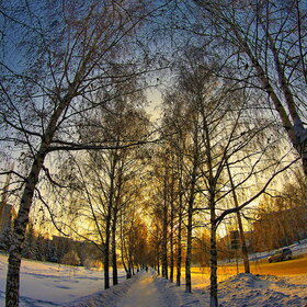 ������ ����. �������