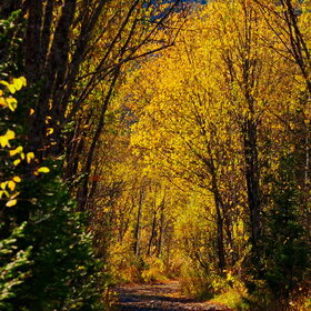 ����� ����. ���������� �� �����������