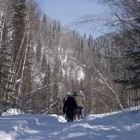 ����. ���� �� �����������. ���������� �� �����������