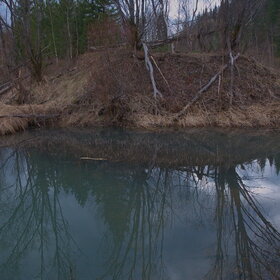 ����� ����. �������