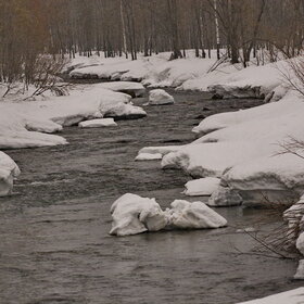 ������ ����. ���������� �� �����������