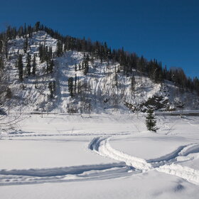 ������ ����. ���������� �� �����������