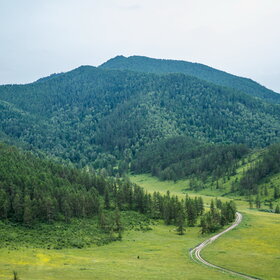 ������ ����. �����������