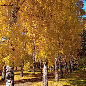 Лучшие фото. ПРИРОДА (0)