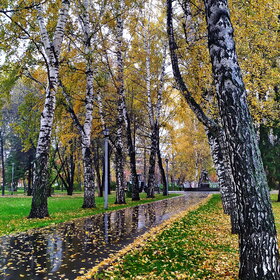 ����. ������. �������