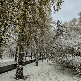 Лучшие фото. ПРИРОДА (0)