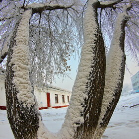 ����. ������. �������