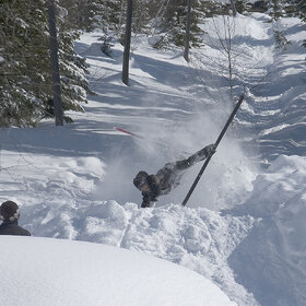 ������ ����. ���������� �� �����������