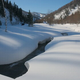 ������ ����. ���������� �� �����������