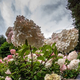 ����. ������. �������