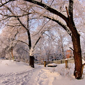 ����. ������. �������