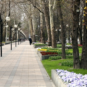 Сквер на улице Советов