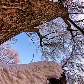 ����. ������. �������