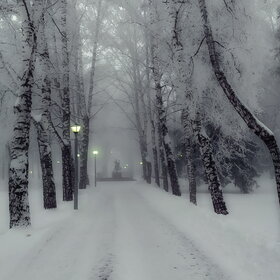 ����. ������. �������