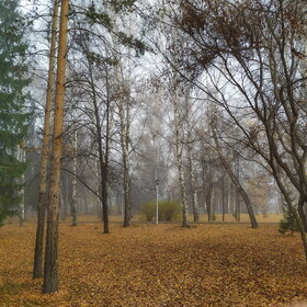 ����. ������. �������