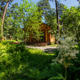 ������ ����. ���������� �� �����������