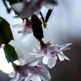 ����. ������. �������