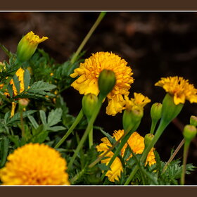 ����. ������. �������